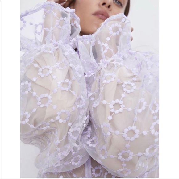 Zara Embroidered Sheer Blouse - Picture 2 of 4